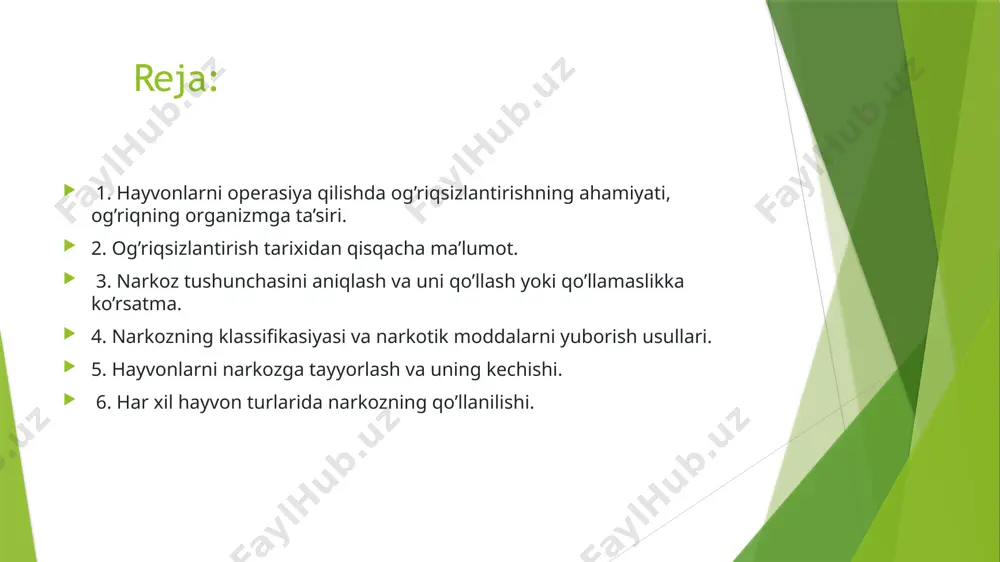 ok etadi. simpato-adrenal sistema kuchayib gistomin va asetilxolin moddalari ko’p miqdorda yig’iladi. bular hammasi og’riq ta’sirini kuchaytiradi va saqlab turadi. og’riq haddan tashqari kuchli bo’lsa, shok ro’y berishi mumkin. og’riq uzoqt vaqt ta’sir qilganda, hayvonlarning mahsuldorligini keskin pasaytiradi; sigirlarda sutning kamayishi, boqiladigan mollarni tirik vaznining sezilarli pasayishiga olib keladi. og’riq uzoqt vaqt ta’sir qilganda, hayvonlarning mahsuldorligini keskin pasaytiradi; sigirlarda sutning kamayishi, boqiladigan mollarni tirik vaznining sezilarli pasayishiga olib keladi. kuchli og’riq qo’zg’atuvchi kasalliklar hayvonlarga katta zarar va vet.vrachlarga tashvish keltiradi. shuning uchun og’riqni yo’qotish yoki kamaytirish usullarini axtarib topmoq zarur. xirurgik operasiyalarda og’riqsizlantirishni qo’llash katta ahamiyat kasb etadi. og’riqni bartaraf qilish operasiya bajarish shart-sharoitlarini keskin o’zgartiradi: hayvonlarni tinchlantirib, harakatsizlantirib qo’yadi, bu bilan operasiyani olib borilishi uchun yaxshi sharoit yaratadi, xirurg esa to’qimalarda tinch va yaxshi ish olib borishi mumkin. og’riqni yo’qotish yoki pasaytirish uchun hozirgi vaqtda og’riqsizlantirishning 2 ta asosiy usuli qo’llaniladi: narkoz va mahalliy anesteziya. bundan tashqari og’riqsizlantirishning yana …