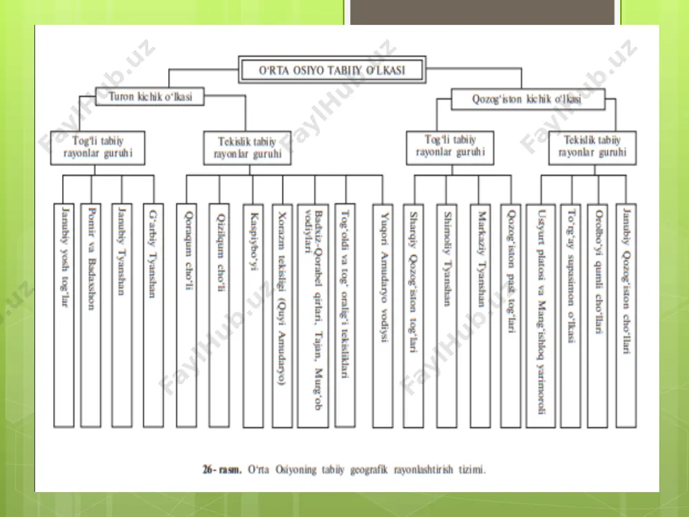tabiiy geografik rayonlashtirish haqida tushuncha 7-sinf - Page 5