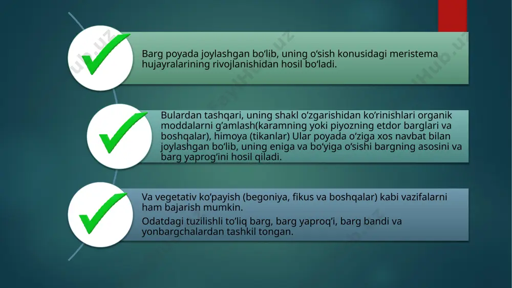 chi bog’lamlariga o’tkazishdan iborat. bargni ko’ndalang kesimida tomirlari ustki va pastki tomondan epidermis bilan qoplanganligini, uning ostida esa kollenxima hujayralari joylashganligini ko’rish mumkin. uning yuqori qismi yog’ochlik hujayralaridan, pastki qismi esa lub elementlaridan iborat bo’ladi. tolalarning ma'lum qismini asosiy parenxima hujayralari egallagan bo’lib, ular orasida ayrim tolali naychalar bog’lami bo’ladi. bog’lamlar poyada qanday joylashsa, barg tomirlarida ham xuddi shunday joylashadi. mexanik to’qimalar naychalar bog’lami bilan birgalikda joylashib ularni pishiq qilsa, tosh hujayralar barg bandi va tomirlarini qattiq qiladi. mezofill, odatdagi dorzoventral tuzilishli barglar morfologik va qisman fiziologik tomonidan farq qiluvchi ikki turdagi ustunsimon va bulutsimon to’qimalardan tashkil topadi. parenxima mezofillning faol fotosintez jarayonini amalga oshiruvchi to’qimasidir. ko’pchilik o’simliklarda u bir qavatli bo’lib, ikki va ko’p qavatlilari ham uchrab turadi. uning hujayralararo bo’shlig’ keng bo’ladi, ayniqsa ular suv o’simliklarida ko’p uchraydi va bu o’simliklar bargini suv yuzida suzib yurishiga yordam beradi. barg etini tashkil etuvchi bu ikkala to’qima assimilyatsiya vazifasini bajaradi …