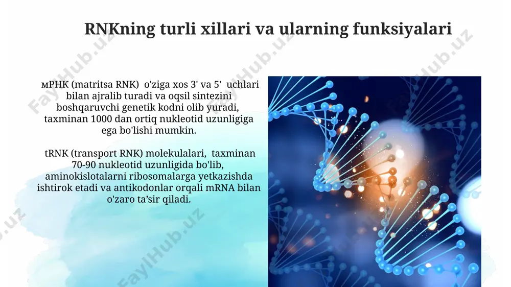 rnk transkripsiyasi va prossessingi - Page 4