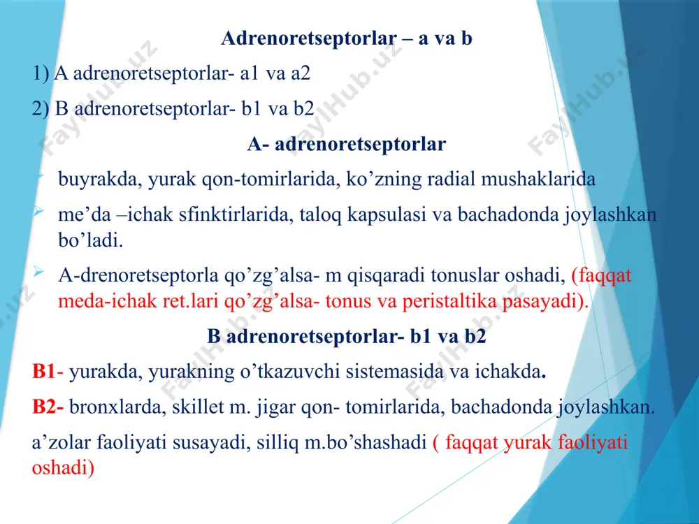 tnashadigan adrenoret.ga ta’sir ko’rsatadi va- qonda qand va yog’ miqdorini oshiradi. ko’rsatkichlar adrenalin noradrenalin yurak urish tezligi kuchayadi sal kamayadi zarb hajmi kuchayadi kuchayadi minutlik hajmi ortadi o’zgarmaydi yoki kamayadi sistolik bosim kuchayadi kuchayadi diastolik bosim kamayadi kuchayadi qon-tomirlarining qisqarishi teri, teri osti yog’qavati, ichki a’zolar toj tomirlardan boshqa hamma tomirlar tomirlarning kengayishi yurak, miya,skillet m. tomirlari yurak tomirlari ishlatilishi adrenalin gematoensifalik barerdan o’tkani sababli gipotalamusni qo’zg’atadi natijada- qaltirash, ko’ngil aynishi, qusish xolati kuzatiladi branxial astma xurujida ishlatiladi insulin miqdori oshkanligi sababli yuzaga kelgan –gipoglikimiyada ishlatiladi qarshi ko’rsatma miokardni kislarodga bo’lgan talabini oshirganligi sababli- kolap va shok xolatida taqiqlanadi gipertoniya kasalligida jigar va buyrak xurujlarida gematransfuzion shokda qandli diabet xomiladorlik davrida ta’siri qisqa davom etadi teri ostiga yuborilsa 30 daqiqa venaga yuborilsa 5 daqiqa ta’sir ko’rsatadi. asoratlar: yurak urishi tezlashadi qonda qand miqdori oshadi ko’ngil ayniydi, qusish xolatlari aritmiya, qorinchalar ekstrasistoliyasi paydo bo’ladi adrenalinga o’rganib qolish- taxiflaksiya yuz beradi gipertoniklarda …