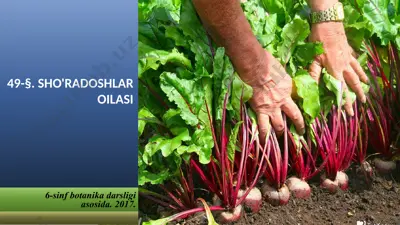 sho'radoshlar oilasi. 6 - sinf — PPTX