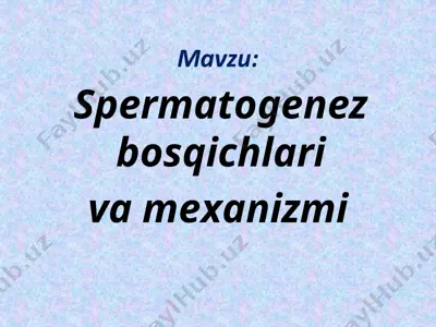 spermatogenez bosqichlari va mexanizmi — PPTX