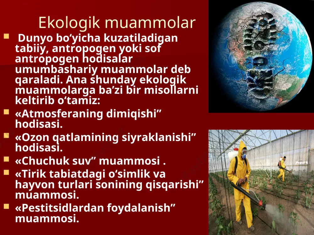 zamonaviy ekologik muammolar - Page 3