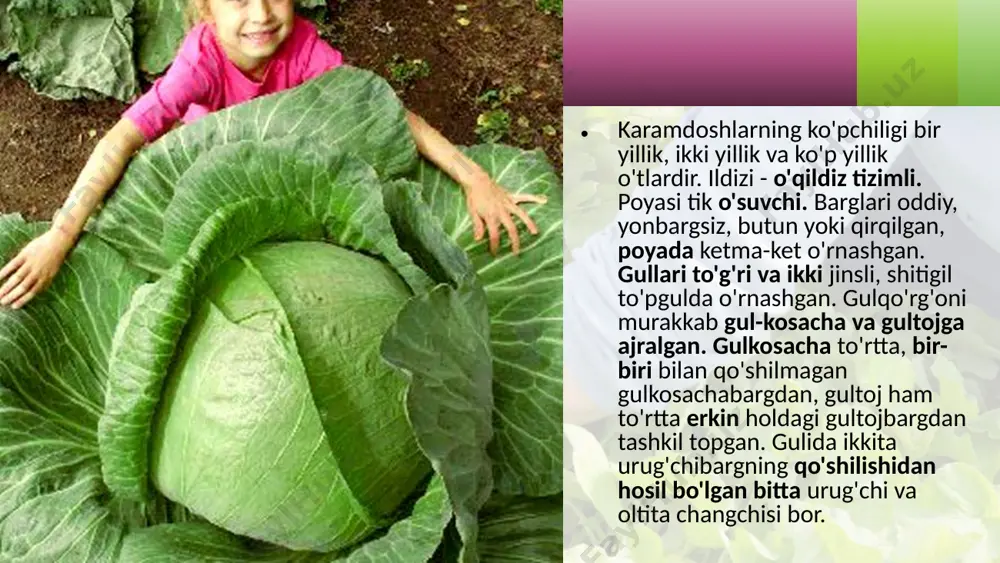 karamdoshlar oilasi. 6 - sinf - Page 5