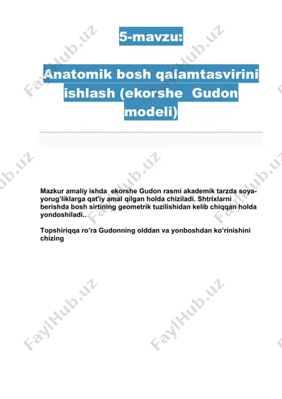 anatomik bosh qalamtasvirini ishlash (ekorshe gudon modeli) — PDF