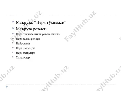 нерв тўқимаси — PPT