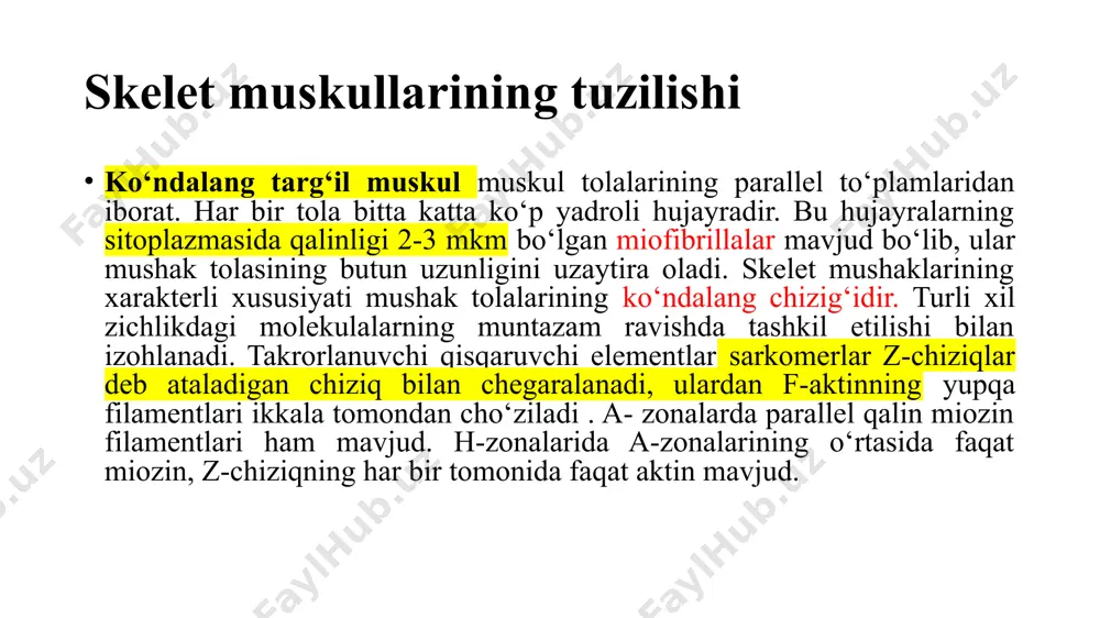 kka misol bo'la oladi. kasallik aktinni sarkolemmadagi oqsillar (mushak tolasini o'rab turgan hujayra membranasi) bilan bog'laydigan strukturaviy oqsil bo'lgan distrofin mushak oqsilidagi nuqson tufayli yuzaga keladi. kasallik progressiv mushaklar atrofiyasiga olib keladi. genetik darajadagi nuqsonning sababi distrofin genining muhim qismini yo'q qilishdir. bekker mushak distrofiyasi distrofin genidagi nuqta mutatsiyasidan kelib chiqqan xuddi shu kasallikning engil shaklidir. makardl sindromida mushak glikogen fosforilazasining etishmovchiligi mavjud. bu kasallik bilan og'rigan bemorlarda glikogen mushak hujayralarida parchalanmaydi , balki to'planadi. jigar fosforilazasi normal ishlaydi. tug'ma miopatiyalar mitoxondrial genlardagi mutatsiyalar natijasida ham yuzaga kelishi mumkin (melas sindromida bo'lgani kabi, leytsin uchun mitoxondrial trnk geni mutatsiyaga uchragan). miyokard infarktining sababi kislorod bilan ta'minlanmaganligi sababli yurak mushaklarining ishemiyasi. bunday holatda atfni asosan oksidlanish almashinuvi orqali oladigan kardiomiotsitlar anaerob glikolizga o'tishga majbur bo'ladi . natijada, laktat va protonlarning kontsentratsiyasi shunchalik ko'payadiki, mushaklarning muntazam qisqarishi to'xtaydi. bu hujayra o'limi (nekroz) bilan tugaydi. mushak va miya hujayralarida sezilarli miqdorda kreatin kinaz …