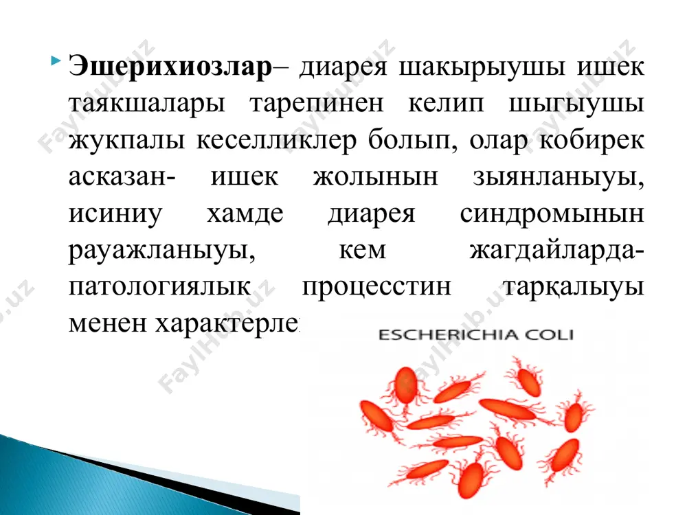 анларда да ауыр гемоколитлерди шакырыушы серологиялык топарлардан ибарат. кеселликтин тийкаргы дереги – наукаслар, асиресе кеселликтин женил хам атипик формалары менен ауырган, кеселликтин ауыр кешиуин откерип атырган наукаслар болып есапланады. кем жагдайларда кеселлик дереги болып хайуанлар (ири шахлы шаруа маллары) болып табылады. жугыу механизми – фекал-орал. ен коп ушырасыушы жугыу жоллары– бул контакт, азык-аукатлар хам суу аркалы. жугыу факторлары– азык- аукат онимлери, уй буйымлары (ыдыс-табаклар, ойыншыклар), суу аркалы жугады. хар турли топарга тан эшерихияларга салыстырганда сезгирлик бирдей болмай, ол баладагы премормид жагдай хам онын жасына байланыслы болады. маусимлилик. эшерихиозлар жыл дауамында спорадик жагдайлар ямаса эпидемик кобейиулер таризинде ушырасады. иммунитет– турғын емес хам типоспецифик иммунитет калиплеседи. патоген эшерихиялар организмге ауыз аркалы кирип, асказанга отип, эпэ хам этэ жинишке ишекке жетип ол жерде кобейеди. эиэ хам эгэ кобирек жууан ишекти зыянлайды. эпэ цитотоксиклик хам шегараланган инвазивлик касийетлери есабынан жинишке ишек силекей кабатына кирип барады. бунда эпителий зыянланады хам эрозия пайда болады. бул озгерислер …