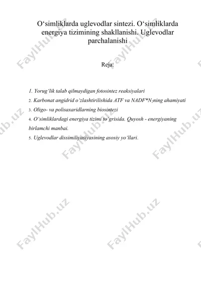o‘simliklarda uglevodlar sintezi. o‘simliklarda energiya tizimining shakllanishi. uglevodlar parchalanishi — DOCX