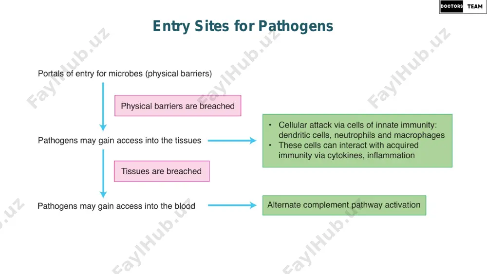 immunologiya – 3-dars - Page 4