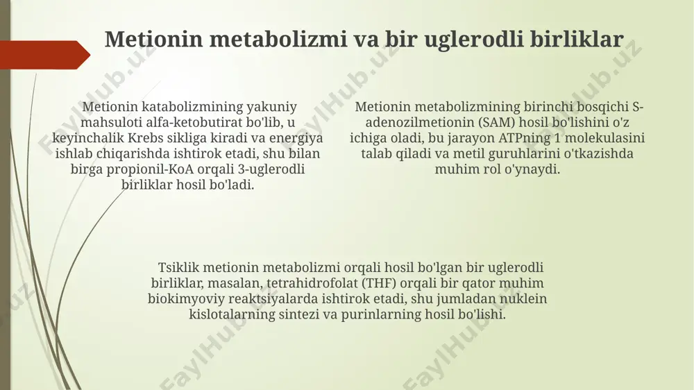 in metabolizmining asosiy joyi jigar va ichak bo'lib, bu jarayonlarda glutaminaz va glutamin sintetaza fermentlari muhim rol o'ynaydi, ularning faolligi turli omillarga bog'liq. arginin metabolizmi arginin ornitin sikliga kiradi va siydikdagi kreatinin darajasini 15-20% ga oshirishi mumkin. arginin metabolizmining buzilishi, giperargininemiya kabi genetik kasalliklarga olib kelishi mumkin, bu esa asab tizimiga ta'sir qiladi. no sintezida muhim rol o'ynaydi va qon tomirlarini kengaytiruvchi nitrik oksid hosil bo'lishida ishtirok etadi, qon bosimini tartibga soladi. tsistein va metionin o'rtasidagi o'zaro bog'liqlik sistein va metioninning metabolizmi o'rtasidagi bog'liqlik, sulfur balansini saqlash, glutation biosintezi va ko'plab muhim oqsillarni sintez qilishda muhim ahamiyatga ega. metionin, sistein sintezida donor sifatida ishtirok etadigan metil guruhi (-ch3) ni taqdim etadi, bu esa sistein biosintezining muhim bosqichini tashkil etadi. sistein, metioninning transulfatsiyasi orqali hosil bo'ladi, bu jarayonda metionin 5-metiltetragidrofolat reduktazasi (mthfr) fermenti ishtirok etadi va s-adenozilmetionin (sam) oraliq mahsulot sifatida hosil bo'ladi. treonin metabolizmi treonin katabolizmining yakuniy mahsuloti atsetil-koa boʻlib, …