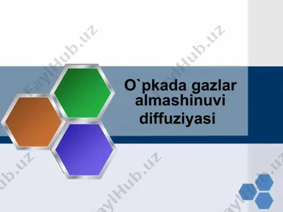 o'pkada gazlar almashinuvi — PPTX