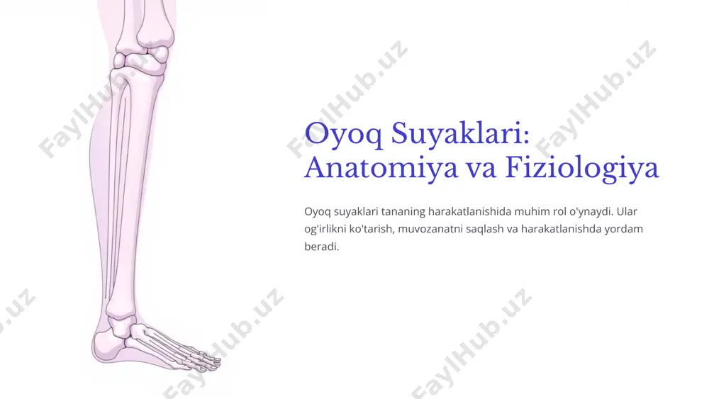 oyoq suyaklari va ularning funktsiyalari - Page 2