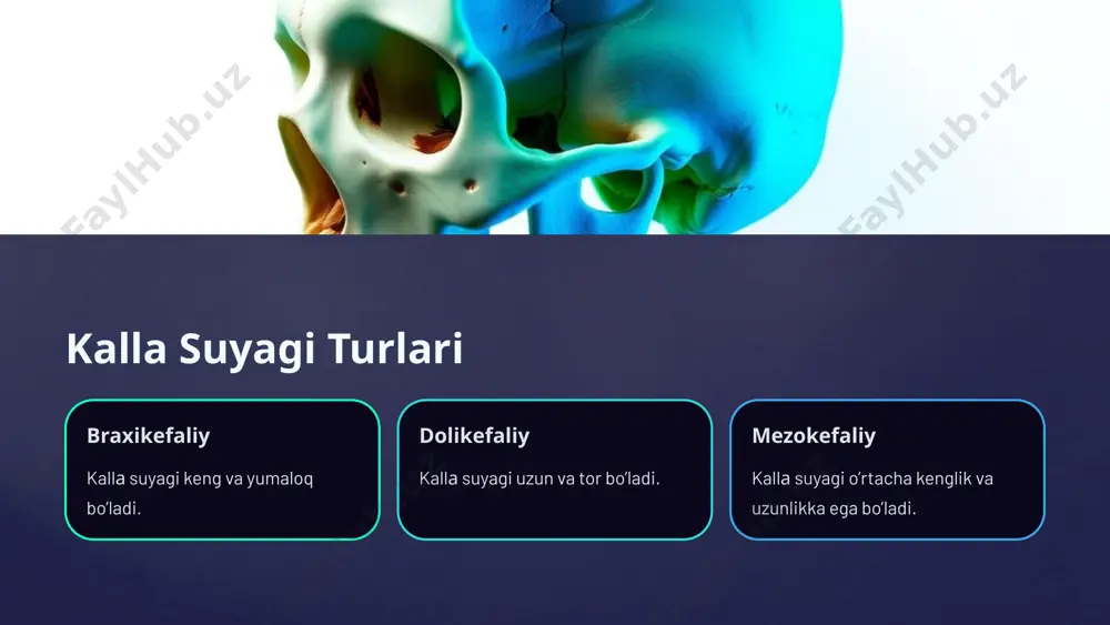 kallа suyagi: yosh va jinsiy xususiyatlar - Page 5