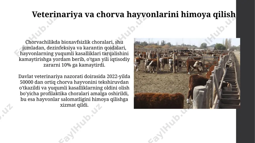 eksport hajmini 10% ga oshirish maqsadini qo‘yish imkonini beradi. chorvachilikni rivojlantirishdagi davlat siyosati qishloq xo'jaligini modernizatsiya qilish dasturi doirasida 10 mingdan ortiq yangi ish o'rinlari yaratish va chorvachilik mahsulotlarining ichki bozoriga ta'sirini kamaytirish uchun kamida 50 ta katta chorvachilik majmualarini qurish rejalashtirilgan. davlat fermer xo'jaliklariga zamonaviy texnologiyalarni joriy etishni qo'llab-quvvatlash uchun, 50% gacha subsidiya berish orqali, chorvachilik mahsulotlarining eksport hajmini 2025 yilga borib 2 barobarga oshirish maqsad qilingan. e'tiboringiz uchun rahmat @taqdimot_robot image1.jpg image2.jpg image3.jpg image4.jpg image5.jpg image6.jpg image7.jpg image8.jpg image9.jpg image10.jpg