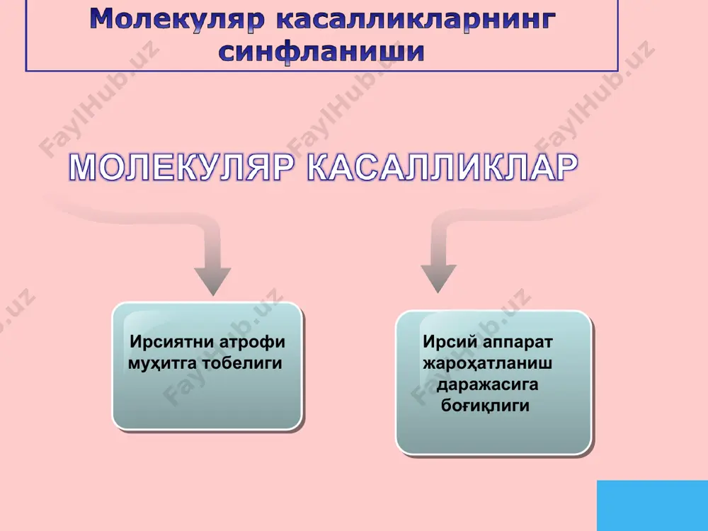 и ривожланишига олиб келади. бундай болаларда ҳиқилдоқ ривожланишида аномалиялар кузатилади. powerpoint templates page * масалан, тўққизинчи хромосоманинг қисқа кифтидаги трисомия микроцефалияга олиб келади., болаларда физик,интеллектуал ва рухий ривожланиш секинлашади powerpoint templates page * powerpoint templates page * хромасомалараро мутациялар – негомологик хромосомалар фрагментлар билан алмашиши ( транслокация). различают три вида транслокаций: реципрок иккита хр. фрагментлар билан алмашишади « маркз.бирикиш» иккита акроцентр хр бирикади нореципрок битта хр фрагмент бошқа хр. ўтади powerpoint templates page * геном мутацияларнин турлари анеуплоидия 2n ±1 полиплоидия (3n, 4n…) powerpoint templates page * powerpoint templates page * анеуплоидия - хромосомаларнинг диплоид йиғиндида кўпайиши ёки камаиши трисомия 3та гомологик хромосома кариотипда моносомия иккита гомологик хромосомадан биттасини қолиши * powerpoint templates page * 21-чи жуфт хромосома буйича трисомия дауна синдроми шаклланишига олиб келади powerpoint templates page * моносомия по х хромосома бўйича синдрома шерешевский тернернинг шаклланишига олиб келади powerpoint templates page * ферментопатияларнинг ривожланиши powerpoint templates page * …