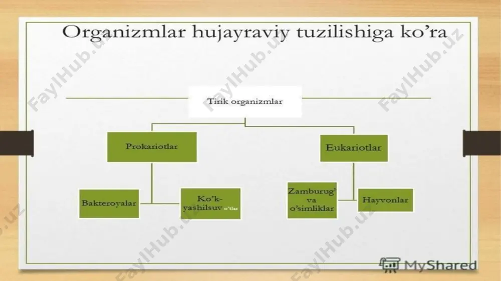 malar sanoat va qishloq xo‘jaligida muhim ahamiyatga ega bo‘la boradi. biokimyoning shu tariqa tez taraqqiy topa borishi va xalq xo‘jaligining turli-tuman tarmoqlarida qo‘llanilishining asl sababi ximik, biolog va fiziologlarning o‘simliklar va hayvonot olamini o‘rganish borasida olib borgan hamkorlik ishlarining, hamda patologlar va vrachlarning o‘z ishlarida ximiyaviy uslublarni qo‘llashlari natijasi desa bo‘ladi. xix asrning o‘rtalariga kelib qator fermentlar: so‘lak fermenti - amilaza, parchalanuvchi polisaxaridlar, oshqozon shirasi - pepsin, oshqozon osti bezi shirasi - tripsin, parchalanuvchi oqsillarning to‘liq tavsifi berildi. bersillus ximiyaga katalizatorlar tushunchasaini kiritdi. katalizatorlar tarkibiga o‘sha davrda mavjud bo‘lgan barcha fermentlar kiritiladi. 1935 yilda fransiya ximigi m.shevrel tomonidan muskul tarkibida kreatin, biroz keyinroq o‘z tarkibiga ko‘ra unga o‘xshash kreatininni aniqlanadi va tavsifi beriladi. skelet muskullari, sut kislotasining tarkibi va skilet harakati jarayonida uni to‘planishini nemis ximigi y.libix aniqlaydi. 1839 yilda oziq-ovqat tarkibiga o‘simlik va hayvonlarning asosiy tarkibiy qismi bo‘lgan oqsil, yog‘ va uglevodlar kirishi aniqlanadi. xix asr o‘rtalarida yog‘ strukturasi …