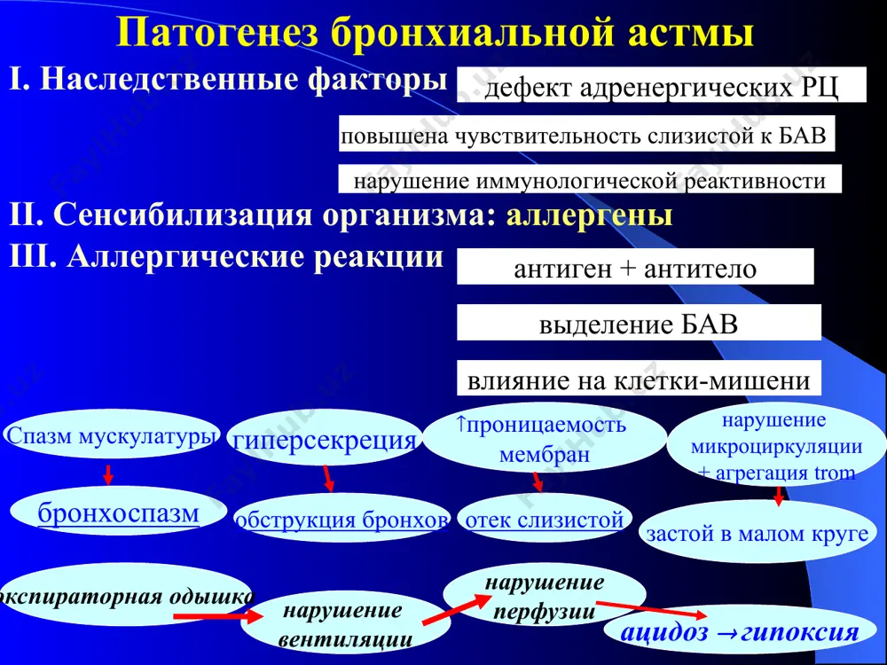 menti lecheniya ba (global strategy for asthma management and prevention, revised 2006) dlya lecheniya ba: kontroliruyushie i simptomaticheskie preparati preparati kontrolya (bazisnie, profilakticheskie) – ispolzuyutsya ejednevno, dlitelno, pozvolyayut kontrolirovat techenie ba; preparati kontrolya (bazisnie): ingalyatsionnie gks (igks), modifikatori leykotrienov, β2-agonisti tdlitelnogo deystviya (ingalyatsionnie i oralnie), teofilini, kromoni, sistemnie gks, antigistaminnie; preparati kontrolya ba - profilaktika (bazisnaya terapiya): 3. kombinirovannie preparati - ingalyatsionnie β2-agonisti dlitelnogo deystviya (salmeterol - serevent) + igks (fliksotid): seretid, simbikort sredstva ingalyatsionnoy texniki: nebulayzer sredstva ingalyatsionnoy texniki: nebulayzer s mundshtukom nebulayzer s maskoy sredstva ingalyatsionnoy texniki: dai - dozirovanniy aerozolniy ingalyator; sredstva ingalyatsionnoy texniki: speyser sredstva ingalyatsionnoy texniki: speyser sredstva ingalyatsionnoy texniki: zaderjivayushie kameri - speyser, sinxroner, bebixaler sredstva ingalyatsionnoy texniki: speyser s maskoy sredstva ingalyatsionnoy texniki: zaderjivayushie kameri - bebixaler sredstva ingalyatsionnoy texniki: diskus, dai dpi - dozirovannie poroshkovidnie ingalyatori - spinxaler, rotaxaler, turboxaler, diskxaler, diskus astmaticheskiy status neotlojnaya terapiya otmenit simpatomimetiki (adrenalin, efedrin)! uvlajnenniy kislorod …