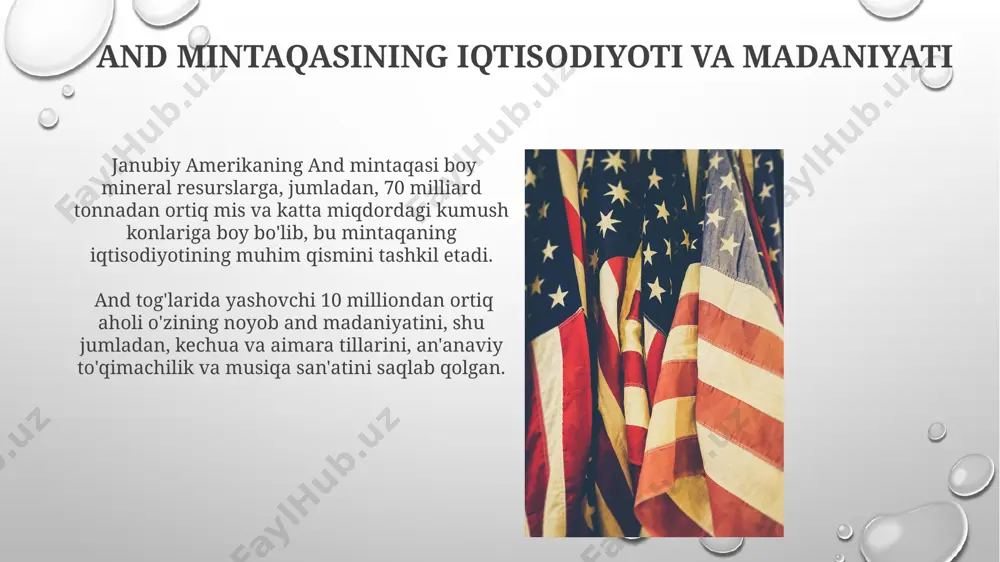 janubiy amerika xalqlari xo`jaligi va madaniyati - Page 5