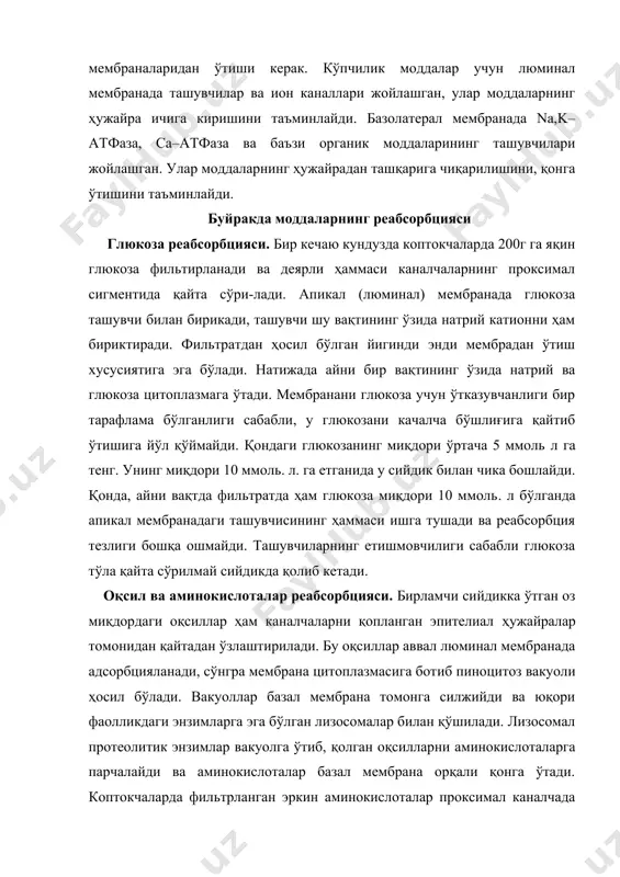 лизосомалар билан қўшилади. лизосомал протеолитик энзимлар вакуолга ўтиб, қолган оқсилларни аминокислоталарга парчалайди ва аминокислоталар базал мембрана орқали қонга ўтади. коптокчаларда фильтрланган эркин аминокислоталар проксимал каналчада деярли бутунлай қайта сўрилади. уларнинг апикал мембрана орқали ташилиши ҳам натрий катионининг ташилишига боғлиқ. аммо, турли гурухдаги аминокислоталарнинг фаол ташилишини тўрт хил ташувчилар бажаришлари мумкин. улардан биринчиси асосли аминокислоталар - лизин, аргинин ва ортинларни ташиса, иккинчиси кислотали аминокислоталар - аспарагин ва глютамин кислоталар учун ташувчи вазифасини бажаради, учинчиси нейтрал аминокислоталар – глицин, пролин ва гидроксипролин-ларнинг фаол ташилиши таъминлайди, қолган аминокислоталарни ва иминокислоталарни тўртинчи ташувчи мембранадан ўтказади. буйрак каналчаларида дипептид ва трипептид-ларнинг парчаланмасдан қайта сўрилиши аниқланган. элекролитлар реабсорбцияси. электролитларнинг қайта сўрилишига нефрон ҳужайралари анчагина энергия сарфлашади. одамнинг буйракларида бир кечаю кундузда 24330ммоль натрий, 19760ммоль хлор, 4888ммоль бикарбонат фильтрланса, сийдик таркибида фақат 90ммоль натрий, 90ммоль хлор ва 2ммольдан кам бикарбонат чиқарилади, натрий катионининг қайта сўрилиши бирламчи фаол жараён бўлиб, энергиянинг асосий қисми бу жараёнга сарфланади. натрий катионини …