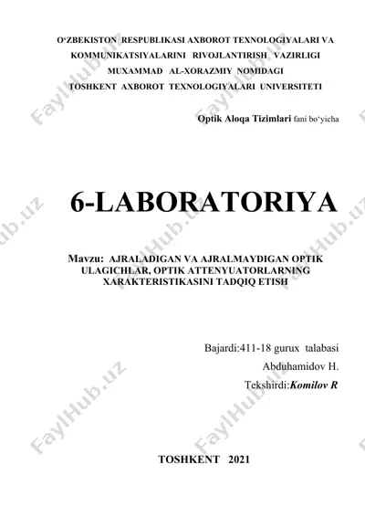 optik ulagichlar — DOCX