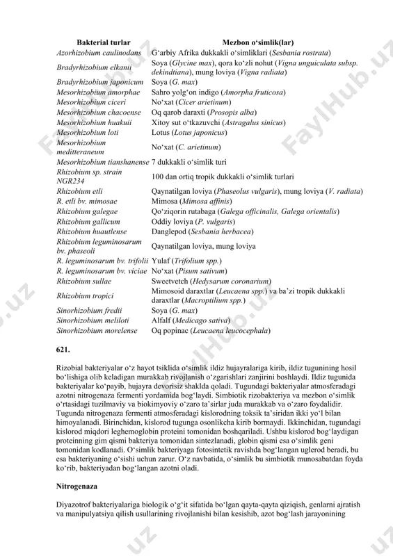 20 g ni tashkil qilgan. 620. ushbu simbiozda bakteriyalar o‘simlikni fiksatsiyalangan azot bilan ta’minlaydi, o‘simlik esa o‘z navbatida bakteriyalarga fotosintez jarayonida hosil bo‘lgan uglerodni yetkazib beradi.soya o‘simliklarini b. japonicum ning maxsus shtammlari bilan inokulyatsiya qilish natijasida yakuniy hosil 25% dan 50% gacha oshishi mumkin, shuningdek, bunday o‘simliklar uchun endi kimyoviy yo‘l bilan fiksatsiyalangan azotni qo‘llashga ehtiyoj qolmaydi.shunga qaramay, soya hosilining dunyodagi taxminan 40% faqat aqshning bir necha mintaqalarida ishlab chiqariladi va ushbu hududlarda qishloq xo‘jaligi amaliyotlari nisbatan bir xil bo‘lsa ham, hozirda ushbu hosilning faqat kichik qismiga b. japonicum yordamida ishlov beriladi. ko‘pchilik fermerlar hali ham tuproqda tabiiy ravishda mavjud bo‘lgan b. japonicum shtammlariga hamda kimyoviy o‘g‘itlarga tayanishda davom etmoqda. hozirgi vaqtda qishloq xo‘jaligida o‘simliklarning azot tarkibini yaxshilash uchun foydalanilayotgan eng muhim mikroorganizmlar qatoriga turli rizobial jinslar va turlar kiradi (15.7-jadval). ushbu bakteriyalar grammanfiy, flagellali va tayoqcha shaklida bo‘lib, dukkakli o‘simliklar bilan simbiotik munosabatlar hosil qiladi.umuman olganda, har bir rizobial …