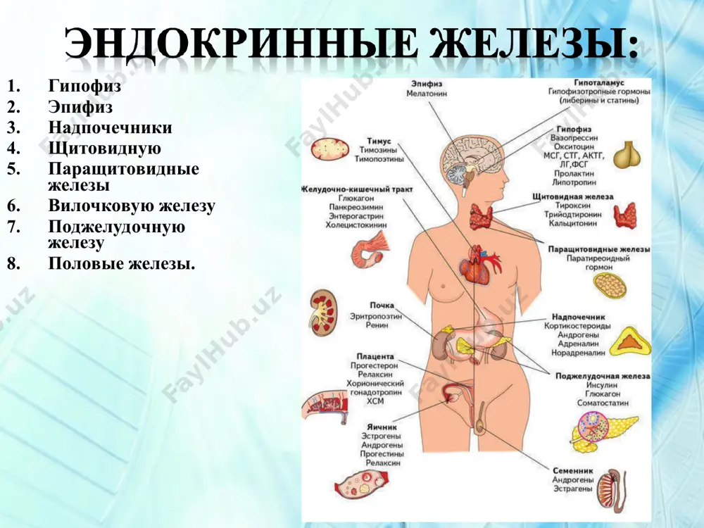 запаздывание сроков окостенения с рождения. в анализах крови- снижение содержания тироксина (т4), трийодтиронина (т3) и повышение тиреотропного гормона (ттг). а.врожденный гипотиреоз у младенца 6 месяцев. ребенок очень плохо ест. ребенок страдает затруднением носового дыхания, сонлив, не улыбается и плохо держит голову. обращают на себя внимание большие размеры языка, одутловатое лицо, безучастное выражение лица и низкий рост волос на лбу. костный возраст соответствовал периоду новорожденности. b. 4 месяца спустя после назначения гормона щитовидной железы – тироксина. среди дополнительных тестов имеют значение определение симптома замедления костного возраста. у детей первых месяцев жизни с подозрением на гипотиреоз достаточно произвести рентгенологическое исследование коленных суставов. отсутствие ядер окостенения в эпифизах бедренной и большой берцовой костей означает внутриутробное отставание костного возраста. врожденный гипотиреоз, замедление формирования костной ткани. отсутствие ядер окостенения в дистальных эпифизах бедренных костей у 3-х месячного доношенного младенца. этот симптом - подтверждение, что гипотиреоз начался во внутриутробном периоде. приобретённый гипотиреоз сонливость, вялость, утомляемость мышечная …