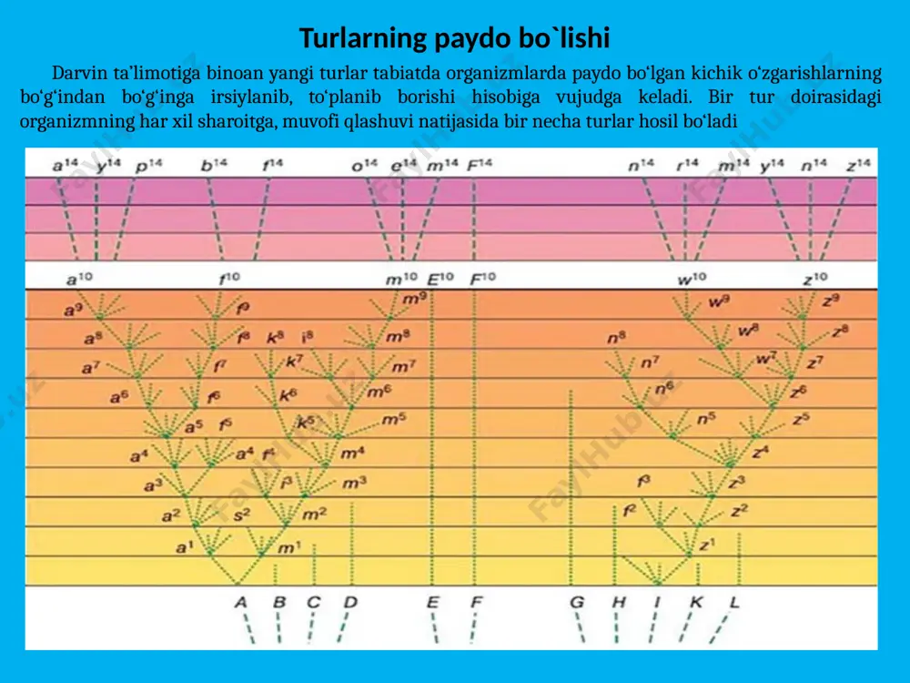 tur paydo bo‘lishining tushuntirish usullari - Page 5