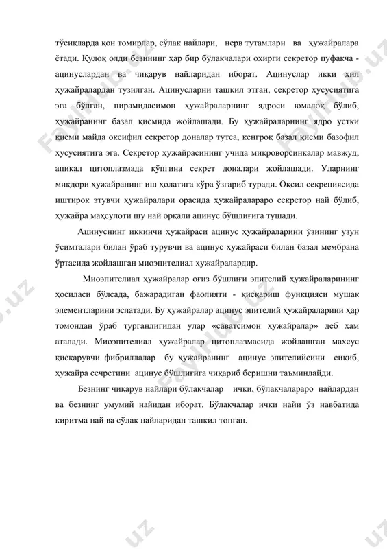 телий билан қопланиб, най йириклашган сари унинг эпителийси кўп қаватли бўлиб боради. бўлакчалараро найлар умумий найга қўшилади. бу найлар кўп қаватли кубсимон ва найнинг оғизга очилиш жойида кўп қаватли ясси эпителий билан қопланган бўлиб, юқориги катта жағ тиши соҳасида лунжнинг шиллиқ қаватига очилади. жағ ости бези. бу орган тузилишига кўра альвеоляр-найсимон, секретининг характерига кўра аралаш - ҳам оқсил, ҳам. шиллиқ ишлаб чиқарувчи бездир. без ташқаридан юпқа бириктирувчи тўқимали капсула билан қопланган. капсула безни бўлакларга бўлиб бириктирувчи тўқимали трабекулаларгача давом этади. ҳар бир бўлак ўз навбатида, қулоқ олди бези сингари,. ацинус ва секрет чиқарув найининг бошланиш қисмларидан ибо-рат. бу безда икки хил - соф оқсил ҳужайраларидан ва ҳам оқсил, ҳам шиллиқ ишлаб чиқарувчи ҳужайралардан ташкил топгағг ацинуслар тафовут этилади. соф оқсил ишлаб чиқарувчи ҳужайралардан иборат ацинуслар кўп бўлиб, уларнинг тузилиши қулоқ олди бези охирги секретор қисми каби тузилишига эга. аралаш секретор бўлимлари соф оқсил ишловчи ацинуслардан йирикроқ бўлиб, 2 хил: оқсил …