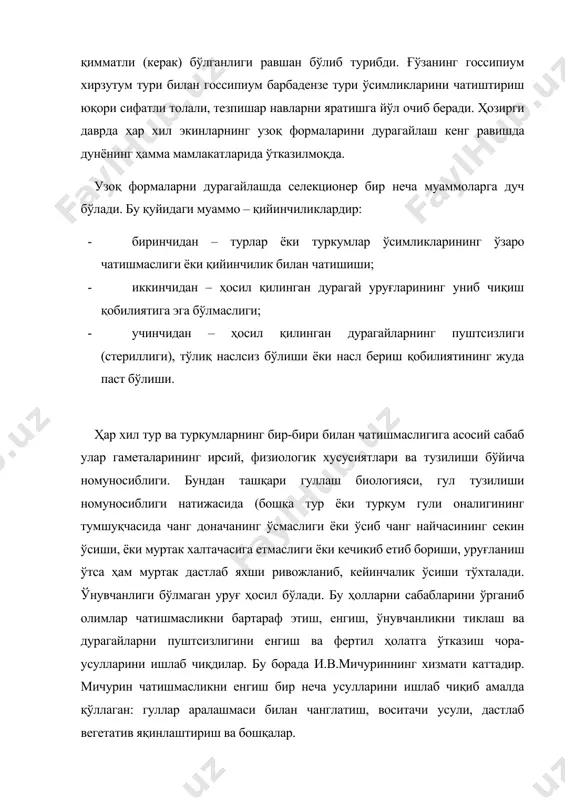 га ўтказиш чора-усулларини ишлаб чиқдилар. бу борада и.в.мичуриннинг хизмати каттадир. мичурин чатишмасликни енгиш бир неча усулларини ишлаб чиқиб амалда қўллаган: гуллар аралашмаси билан чанглатиш, воситачи усули, дастлаб вегетатив яқинлаштириш ва бошқалар. чанглар аралашмаси билан чанглатиш. ота ўсимлигининг чанги бошқа бир неча турнинг (шу жумладан она ўсимлигининг) чанглари билан аралаштирилади ва она ўсимлик гули оналигининг тумшуқчасига қўйилади, солинади (чанглатилади). буни қуйидагича кўрсатиш мумкин. [♀a x ♂(a+б+в+г)] бу усул чанг доначаларининг яхши ўсиши, чанг найчаларининг нормал ўсиши ва уруғланишни таъминлайди. натижада бир неча чангланган гуллар орасида керакли икки тур ўзаро чатишади. шу усулни қўллаб и.в.мичурин олма билан нокни, ўрик билан олхўрини, олича билан гилосни чатиштирган ва дурагайлар ҳосил қилган. бу усул буғдой, ғўза, картошка, тамаки каби экинлар селекциясида узоқ формаларни дурагайлашда кенг қўлланилмоқда. воситачи усул. и.в.мичурин бу усулни иқлим шароитининг ноқулайликларига чидамли бўлган ёввойи бодом билан жанубнинг маданий шафтолисини чатиштиришда ишлаб чиққан. бу иккала ўсимлик бир бири билан чатишмайди. мичурин ёввойи бодомни …