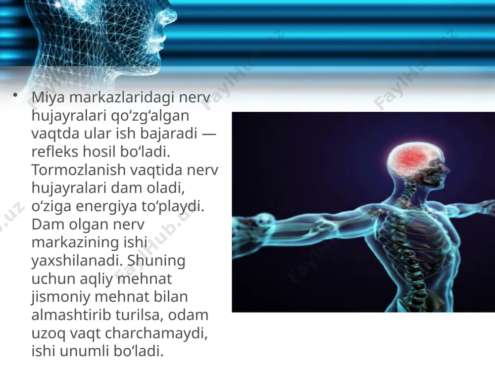 markaziy nerv sistemasining tormozlanishi. 8 - sinf - Page 4