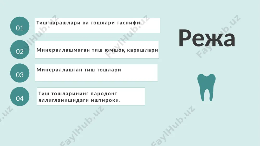 аҳамияти тўлиқ аниқланган. бу тузилмалар асосан микроорганизмларнинг эмал юзасига адсорбцияси натижасида юзага келади ва навбатма-навбат кокксимон флоралар, кейин таёқчасимон ва ипсимон бактерияларни қаватма-қават жойлашувидан иборат комплексдир. тиш усти караши (бляшка) асосан кўпаювчи микроорганизмлар, эпителиоцитлар, лейкоцитлар ва макрофаглардан ташкил топган. тиш усти карашлари қуруқ қисмининг 70% ни бактериялар, 20% ни органик ва анорганик моддалар ташкил қилади. enter title enter subtitle 34% the user can perform the presentation on a projector or computer enter subtitle 66% the user can perform the presentation on a projector or computer тиш усти карашида фторидларнинг оз миқдорда борлиги аниқланган. фторидларнинг карашларда йиғилишида бактерияларнинг ўрни бор. бактериялар фтор моддасини ўз ҳужайраларида йиғади ва уларнинг ўлиши ёки парчаланиши натижасида ажралиб чиққан фтор ионлари кальций билан бирикиб фторидларни ҳосил қилади. тиш усти карашларининг 25-30% ини сувли фаза ҳосил қилади ва у ҳужайрадан ташқарида бўлиб, бактериялар учун "инкубация муҳитини" яратади. тиш усти юмшоқ карашлари оқ, яшил, жигарранг тусда бўлиши аниқланган. …