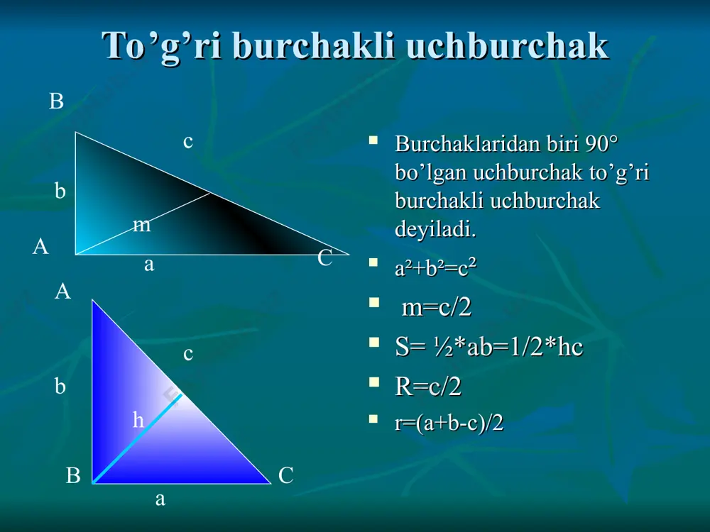 geometrik figuralar - Page 5