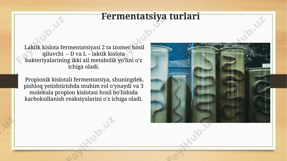 bakteriyalarda fermentativ jarayonlar va atrof-muhit ifloslanishi - Page 3