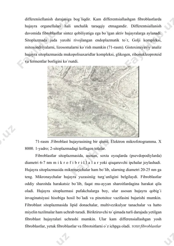 o`lgan hujayra oraliq moddaning yemirilishi va so`rilib ketishida ishtirok etadilar. fibroblast hujayralari embrionda mezenxima hujayralaridan, voyaga yetgan organizmda esa o`zak hujayralardan hosil bo`ladi. dastavval fibroblastlarning boshlang`ich hujayralari dif-ferentsiallashib, ulardan yosh fibroblastlar, so`ngra esa yetuk fibroblastlar hosil bo`ladi. yetuk fibroblastlar ko`payish va sintez qilish qobiliyatini yo`qotgandan so`ng fibrotsitlarga (definitiv shaklga) aylanadilar. fibroblastlarning boshlang`ich hujayralari ikki xil bo`lishi mumkin deb hisoblanadi. ularning birinchi xilidan qisqa muddat (bir necha hafta) yashovchi va himoya - trofik to`qimalarda uchrovchi fibroblastlar, ikkinchisidan esa uzoq (bir necha oylar) yashovchi va tayanch to`qimalarda joylashuvchi fibroblastlar takomillanadi. makrofaglar (makrofagotsitlar, macrophagocyti) makrofaglar biriktiruvchi to`qimaning fibroblastlardan keyingi ko`p uchraydigan hujayralari hisoblanib, biriktiruvchi to`qima hujayralarining taxminan 10-20% ini tashkil qiladi. bu hujayralarning ikki turi farq qilinadi: siyrak biriktiruvchi to`qimada joylashgan erkin makrofaglar va o`troq makrofaglar. utroq (fiksatsiyalangan) makrofaglar jigar, taloq, suyak ko`migi, limfa tugunlari, markaziy nerv sistemasi (mikrogliya) va yo`ldoshda uchraydi. makrofaglar yumaloq va ovalsimon shaklga ega bo`lib, elektron mikroskop ostida karalganda …