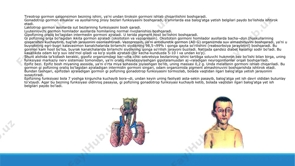 m yuritiladi. bu gormonlar arterial qon bosimini oshiradi, yurak qisqarishini tezlashtiradi, to'qimalarda moddalar almashinuvini kuchaytiradi. odam hayajonlanganda, achchiqlanganda, qo'rq¬qanda katexolamin hosil bo'lishi kuchayadi. shuning uchun bun¬day holatlarda odamning arterial qon bosimi ortadi, teridagi qon tomirlari torayadi va rangi oqarib, yurak urishi tezlashadi. odam qattiq ta'sirlanib, stress holati yuzaga kelganda buyrak usti bezlari¬ning funksiyasi kuchayadi, uning po'stloq va miya qismlarida gormonlar ko'p hosil bo'ladi. buning natijasida organizmning noqulay ta'sirga nisbatan chidamliligi ortadi. shunday qilib, buyrak usti bezlari organizmni himoya qilishda ishtirok etadi. buyrak usti bezining ichki qavatida adrenalin ishlanib chiqi¬shi kamaysa, addison, ya'ni bronza kasalligi yuzaga keladi. bu ka¬sallikka chalingan odam terisi bronza rangiga o'xshab qoladi, muskullari bo'shashadi, ozadi, qon bosimi pasayadi, tez charchaydi, jismoniy ish qobiliyati pasayadi. image1.png image2.jpeg image3.png image4.png image5.png /docprops/thumbnail.jpeg