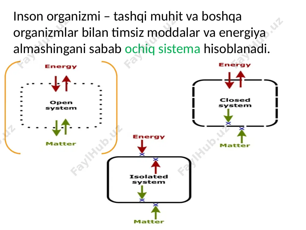 zmi plazma tarkibi suv 91% gaz quruq 9% organik anorganik n siz n saqlovchi oqsil bo`lmagan oqsil kation anion -albumin -globulin -fibrinogen -mochevina -kreatin -kreatinin -siydik kislota -hco3- -cl- -hpo4- k na ca -glukoza -neytral yog` plazma oqsillari plazma oqsillari globulin oqsil turlari va vazifalari alfa 1 - globulin alfa 1 - antitripsin tripsin va boshqa proteolitik fermentlarni faolsizlantiradi, yallig'lanishda zararni kamaytiradi orosomukoid (alfa-1-kislotali glikoprotein) immunitetga javob modifikatori lidokain kabi kislotali dorilarni bog'laydi yuqori zichlikdagi lipoproteinlar (yzlp) xolesterolni teskari tashish ("yaxshi xolesterin") alfa 2 - globulin alfa 2 - makroglobulin fermentlarni bog'laydi va faolsizlantiradi to'qimalarning shikastlanishini oldini oladi gaptoglobin gemoglobinni bog'laydigan protein seruloplazmin oddiy temir almashinuvida ishtirok etadigan misni o'z ichiga olgan ferment beta-globulin transferrin temirni hujayralarga tashish va etkazib berish past zichlikdagi lipoproteinlar (ldl) xolesterolni to'qimalarga etkazib berish komplement 3 (c3) yod moddalarga qarshi yallig'lanish reaktsiyasini tartibga solishga yordam beradi gamma-globulin (immun globulin) iga sekretsiyalarda ishtirok etadigan immunoglobulin igg …