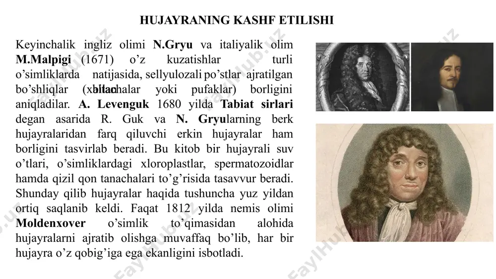rensiatsiyasi hujayrasida plazmalemma va ozgina erkin membranalar, mezosomalar, ribosomalar, gazli vakuolalar, turli granulalar mavjud hujayrasida ikki membranali organellalar (yadro, mitoxondriy, plastidalar) va bir membranali (endoplazmatik to’r, golji apparati, vakuola, lizosoma, sferosoma, mikrotanachalar, ribosomalar, plazmalemma) bor hujayralararo bog’lanishlar yo’q hujayralararo bog’lanishlar turlicha, o’simliklarda plazmodesmalar bilan boradi kislorodga munosabati anaerob va aerob organizmlar faqat aerob organizmlar oziqlanish usullari geterotrof va avtotrof (xemosintez va fotosintez) organizmlar geterotrof va avtotrof (fotosintez) organizmlar fotosintez pigmentlari bakteriofill, bakteriokarotin, xlorofill a, karotin, fikotsian, fikoeritrin xlorofill a, b, c, d, e, karotin, ksantofill, turli qo’shimcha pigmentlar hujayra qobig’i qobiq murein glikopeptididan tuzilgan qobiq yo’q yoki u polisaxaridlardan: sellyuloza, gemitsellyuloza, pektin va boshqa moddalaridan (xitin) tuzilgan o’simlik hujayrasining mikroskopik ko’rinishi. tuzilishi jihatidan oddiy bakteriyalarning sitoplazmasi ko’k-yashil suvo’tlar va tarkibida yadro vazifasini bajaruvchi dnk (dezoksiribonuklein kislota) uchraydi. o’simlik hujayrasining tuzilishi hujayraning eng muhim belgilaridan biri uning xilma - xilligi va o’xshashligi hisoblanadi. sitoplazma va yadro hujayraning asosiy elementlaridir. o’simlik hujayrasida …
