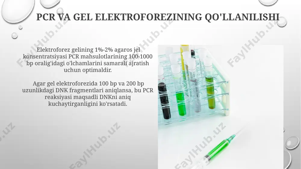 elga namunalarni yuklashda, har bir quduqqa 15-20 µl miqdorida dnk namunasi yuklanadi va mikro pipetkalar yordamida ehtiyotkorlik bilan amalga oshiriladi. namuna yuklashdan oldin, quduqlarga 5-10 µl miqdorida marker (dna ladder) yuklash tavsiya etiladi, bu elektroforez natijalarini aniqlashga yordam beradi. molekulyar markerlar turlari snp (single nucleotide polymorphism) markerlari genomdagi bitta nukleotid o'zgarishlarini aniqlaydi va minglab snp markerlarini bir vaqtning o'zida tahlil qilish mumkin. aflp (amplified fragment length polymorphism) markerlari, restriksion fermentlar va selektiv primerlardan foydalanib, genomning ko'p joylarini bir vaqtning o'zida tahlil qilish imkonini beradi va yuzlab lokuslarni aniqlaydi. e'tiboringiz uchun rahmat @taqdimot_robot image3.png image4.jpg image5.jpg image6.jpg image7.jpg image8.jpg image9.jpg image10.jpg image11.jpg image12.jpg image13.jpg image14.jpg image15.jpg image1.png