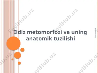 ildiz metomorfozi va uning anatomik tuzilishi — PPTX