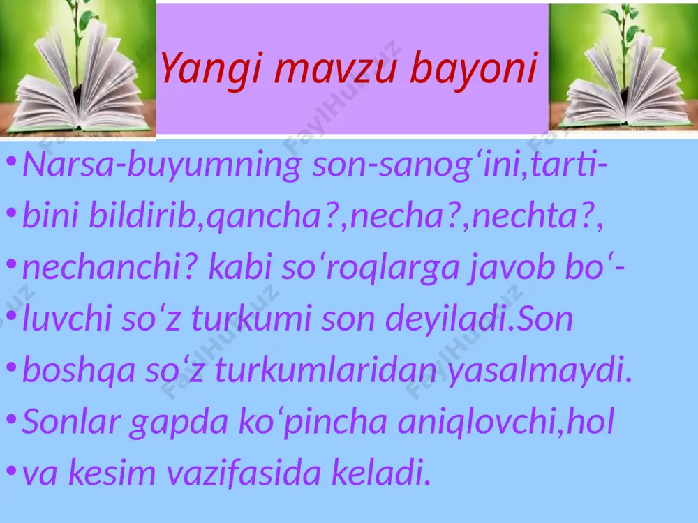 "som - so'z turkumi" taqdimoti - Page 5