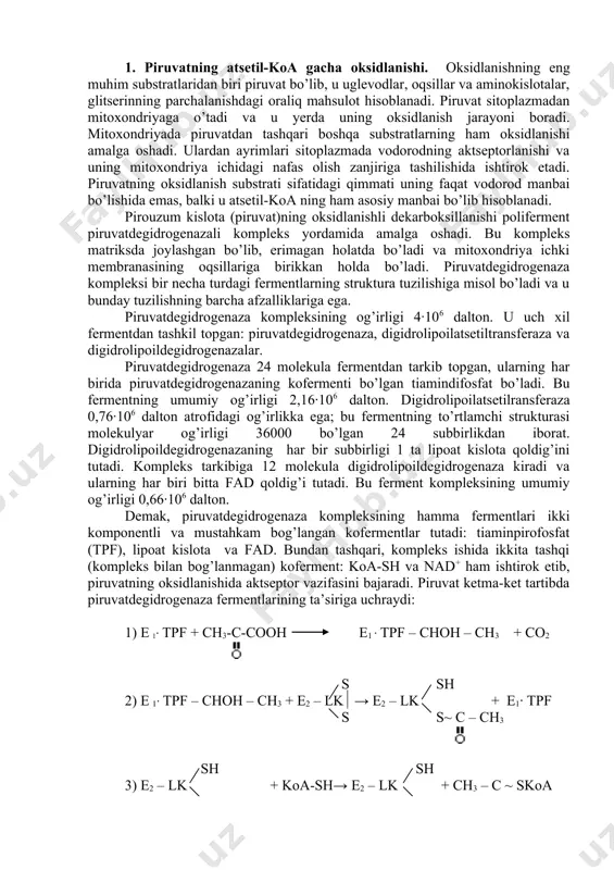 bo’lgan 24 subbirlikdan iborat. digidrolipoildegidrogenazaning har bir subbirligi 1 ta lipoat kislota qoldig’ini tutadi. kompleks tarkibiga 12 molekula digidrolipoildegidrogenaza kiradi va ularning har biri bitta fad qoldig’i tutadi. bu ferment kompleksining umumiy og’irligi 0,66∙106 dalton. demak, piruvatdegidrogenaza kompleksining hamma fermentlari ikki komponentli va mustahkam bog’langan kofermentlar tutadi: tiaminpirofosfat (tpf), lipoat kislota va fad. bundan tashqari, kompleks ishida ikkita tashqi (kompleks bilan bog’lanmagan) koferment: koa-sh va nad+ ham ishtirok etib, piruvatning oksidlanishida aktseptor vazifasini bajaradi. piruvat ketma-ket tartibda piruvatdegidrogenaza fermentlarining ta’siriga uchraydi: 1) e 1∙ tpf + ch3-c-cooh e1 ∙ tpf – choh – ch3 + co2 s sh 2) e 1∙ tpf – choh – ch3 + e2 – lk → e2 – lk + e1∙ tpf s s~ c – ch3 sh sh 3) e2 – lk + koa-sh→ e2 – lk + ch3 – c ~ skoa s ~ c – ch3 sh sh s 4) e2 – …