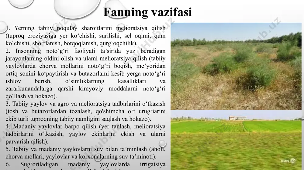 yer ostki organlari (tuganagi, piyozboshi) bir necha yil, yer ustki organlari bir necha hafta yashaydi. efemeroidlar bahorda gullab, meva qiladi, urugʻlari pishib toʻkiladi, tuganaklari, piyozboshlari yoki ildizpoyasi yer ostida saqlanib, yer ustki qismlari quriydi. efemeroidlar urugʻlari orqali va vegetativ yoʻl bilan koʻpayadi. ular yer osti organlariga qarab tuganaklilar (burmaqora, it kuchala va boshqalar), piyozboshlilar (lola, boychechak) va ildizpoyalilar (rang, ilaq)ga ajratiladi. efemeroidlar — qorakoʻl qoʻylarining asosiy ozigʻi. efemeroidlar orasida gullaydigan oʻtlar (lola, zaʼfar, gulsapsar), dorivor giyohlar (piyozlar) va zaharli koʻkatlar (kuchalalar) bor. efemeroidlarni ikki guruh (qurgʻoqchil hududlar efemeroidlari va oʻrmonli hududlar efemeroidlari)ga ajratiladi. viloyatlar yaylov va pichanzorlar maydoni, ming/ga shundan chorva mollarini sug'orish manbasi bilan ta’minlangan ta’minlan-magan qoraqalpog'iston respublikasi 4855,2 4492,3 362,9 andijon 21,8 21,8 - buxoro 2684,7 2416,3 268,4 jizzax 738,7 723,9 14,8 navoiy 10009,5 8270,5 1739 namangan 157,1 157,1 - samarqand 795,7 516,2 279,5 sirdaryo 23,6 23,6 - surxondaryo 865,7 817 48,7 toshkent 392,2 356,6 35,6 farg'ona 26 …
