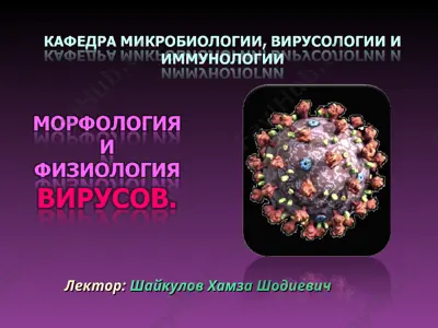 viruslar — PPT