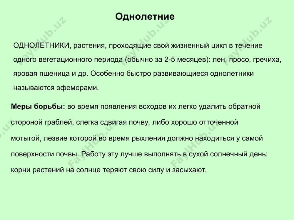 шие результаты. пырей, род многолетних трав семейства злаков. около 30 видов, во внетропических областях обоих полушарий. многие пыреи — кормовые растения; пырей ползучий — ценное кормовое растение, в посевах — злостный сорняк. несколько видов скрещено с пшеницей (пшенично-пырейные гибриды). корневищные хвощ, род многолетних травянистых растений с разветвленным корневищем. листья мелкие, чешуевидные; функцию фотосинтеза осуществляют стебли и веточки. размножаются главным образом корневищами, а также спорами. около 30 видов, по всему земному шару (кроме австралии); в россии около 10 видов, в водоемах, лесах, на лугах, полях. некоторые — пастбищные растения. хвощ полевой — злостный сорняк. корневищные корнеотпрысковые в течение всего вегетационного периода образуют отпрыски из почек, заложенных на корнях. в короткий срок из одного растения образуется большое количество новых. борьба: трудность в том, что чем реже корни, тем больше они дают ростков. поэтому засоренный участок лучше обрабатывать вилами, а не лопатой, с последующим тщательным прочесыванием граблями. в случае сильного засорения поле оставляют …
