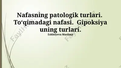 nafasning patologik turlari. gipoksiya uning turlari — PPTX