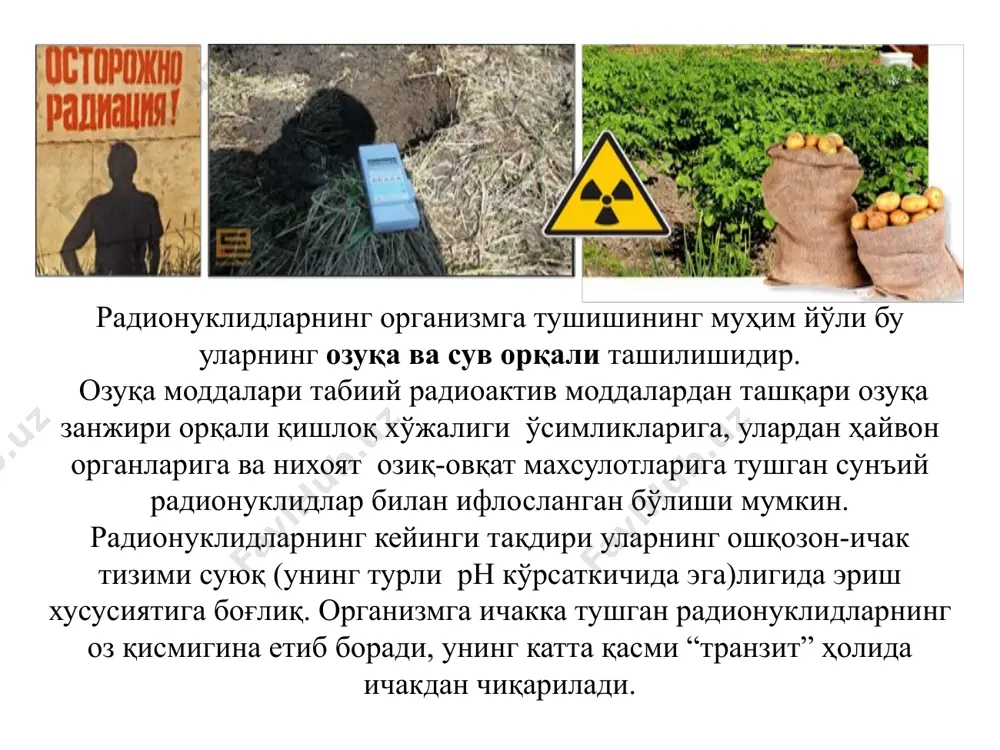 ар мутациясига олиб келади. ультрабинафша нурларнинг канцероген таьсири диққатга сазовор. қуёш нурлари таьсири остида ясси хужайрали тери раки, меланома пайдо бўлиши тасвирланган, ультрабинафша нурлар ҳужайралардаги днк ни зарарлай-ди, днк репарациясини издан чиқаради натижада, одамнинг тери ракига мойил бўлишининг сабаби ҳам шунда. канцерогенезнинг биологик механизми мураккаб жараён бўлиб асосан, тўрт босқичли ҳисобланади: 1) экспрессия босқичи- хужайра генетик аппартининг зараланишидан (соматик мутация, хромосома абберацияси, рекомбинация) протоонкоген ва онкогенларнинг ўсиш ёки кўпайиш даражаси ошиб кетади. 2) промоция босқичи (протоонкогенларнинг онкогенга айланиши); 3) ўсма ёки шишнинг шаклланиши-(хужайра клони) нормал ҳужайрага хос бўлмаган хусусиятларни ўзида сақлайди. митоз жараёнининг бузилишидан ностабил геномга эга бўлган ҳужайралар кўпайиб кетади ва турли хусусиятга эга бўлган шиш, ўсмаларни шакллантиради. 4) шиш ёки ўсманинг прогрессияси (метастаз) босқичи. бу босқич тўлқинли характерга эга бўлиб, ўсма хужайрасининг янги ствол линияларини ҳосил қилади, натижада ўсма ҳужайралари қон ва лимфа томирларгача ўсиб кириб бориб, ҳар хил орган ва бутун организмга тарқалади. ўсманинг организмга таъсири- ёмон …