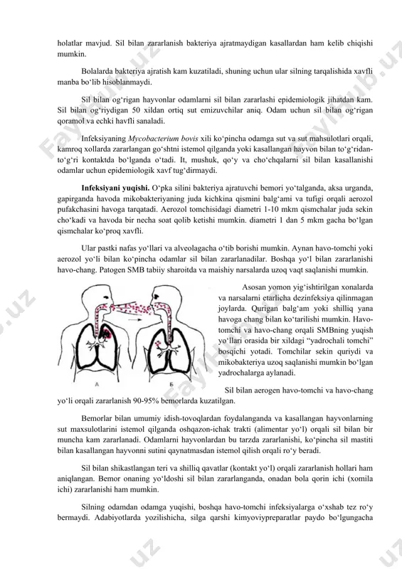 da birinchi marta silning aktiv shakli aniqlanganlar 100 000 aholiga nisbatan. (kasallikning) tarqalishi – yilning oxiridagi silning aktiv shakli bemorlar hisobi 100 000 aholiga nisbatan. aktiv sil bemorlar soni har yili birinchi marta aniqlanayotganlar bilan ko‘paymoqda va klinik sog‘ayish va o‘lim hisobi kamaymoqda. o‘pka sili kasallarining doimiy yoki vaqti-vaqti bilan bakteriya ajratuvchilari silning atrof muhitga tarqalishiga ko‘proq xavfli. o‘lim – yil davomida sildan o‘lganlar soni 100 000 aholiga nisbatan. sildan o‘lim ko‘rsatgichi shu kasallikni integral tarqalishini qaytaradi, hamda og‘ir kechishini, aniqlash sifatini, bemorlarni tashxislash va davolashni baholaydi. yil davomida sildan o‘lganlar, umumiy aktiv sil bemorlari soniga hisobi sildan o‘lim ko‘rsatgichini belgilaydi. bakteriya ajratuvchi o‘pka sili bemorlari davolanmasa 35-40% bir yil davomida o‘ladi, 70% 5-7 yil davomida o‘ladi. silning epidemik zo‘rayishini chaqiruvchi va ushlab turuvchi bir qancha sharoitlar: sil infeksiyasi manbai va rezervuari, yuqish yo‘lini bo‘lishi va moyil odam. sil infeksiyasining manbai va rezervuari. sil infeksiyasining rezervuari bo‘lib, sil bemorlari va …