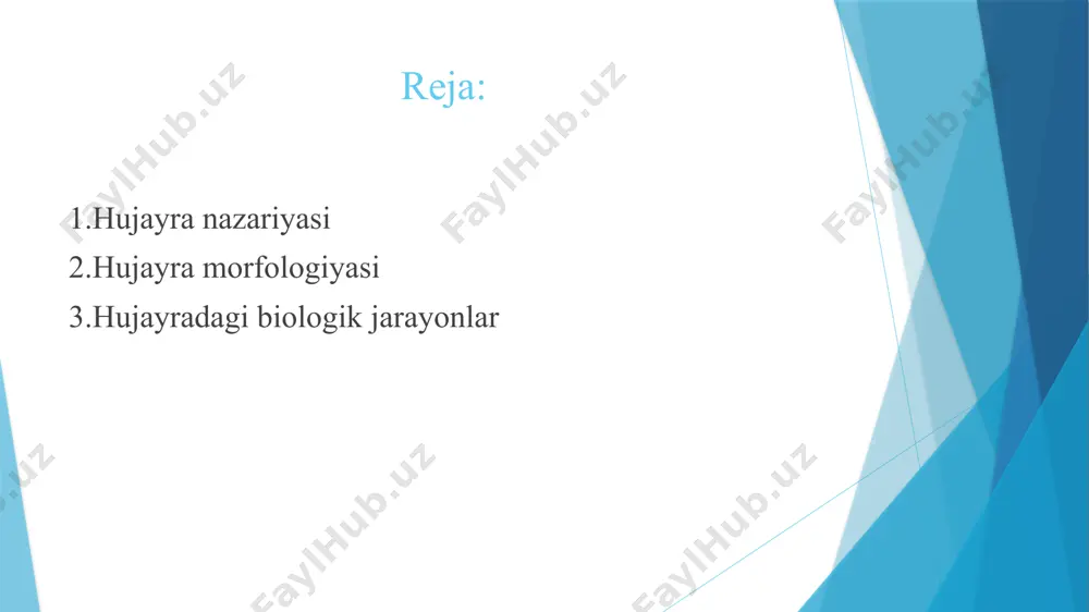 lar turlicha katta-kichiklikka ega. ko‘p hollarda ular juda kichik bo‘lib, 10–100 mikrometr (mkm, 1mkm – 0,001 mm) ga teng. biroq juda katta hujayralar ham mavjud. masalan: tarvuz hujayralarini oddiy ko‘z bilan kuzatish mumkin. eng katta hujayralarga qushlarning tuxumi misol bo‘ladi. elektron mikroskop orqali olib borilgan tekshirishlar bakteriyalar ,o‘simliklar va hayvonlar hujayrasida yupqa tashqi qobiq borligini aniqlash imkonini berdi. bu qobiq hujayraning tashqi membranasi deb ataladi (lotincha “membrana” – qobiq, parda). hujayra qobig‘i hujayrani tashqi muhit va boshqa hujayralar bilan bog‘lab turishni ta’minlaydi. shuningdek, u himoya, to‘siq, moddalarni tanlab o‘tkazish, retseptorlik vazifasini ham bajaradi. hujayra qobig‘ining asosiy qismini plazmatik membrana tashkil etadi. hayvon hujayralarining qobig‘i juda yupqa va elastik bo‘ladi. shuning uchun tayanch vazifasini bajara olmaydi. o‘simlik hujayrasining qobig‘i qalin bo‘lib, u asosan sellyulozadan iborat. o‘simlik hujayrasining qobig‘i tayanch vazifasini ham bajaradi. plazmatik membrana barcha hujayralar uchun universal bo‘lgan – biologik membranadir. biologik evolyutsiyaning boshlanishi yerda hayotning hujayraviy shakllarini paydo bo‘lishi …